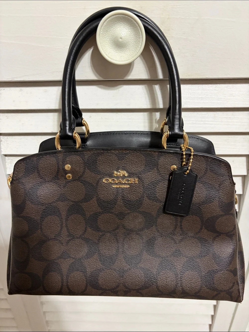 Coach Unisex Mini Lillie Carryall